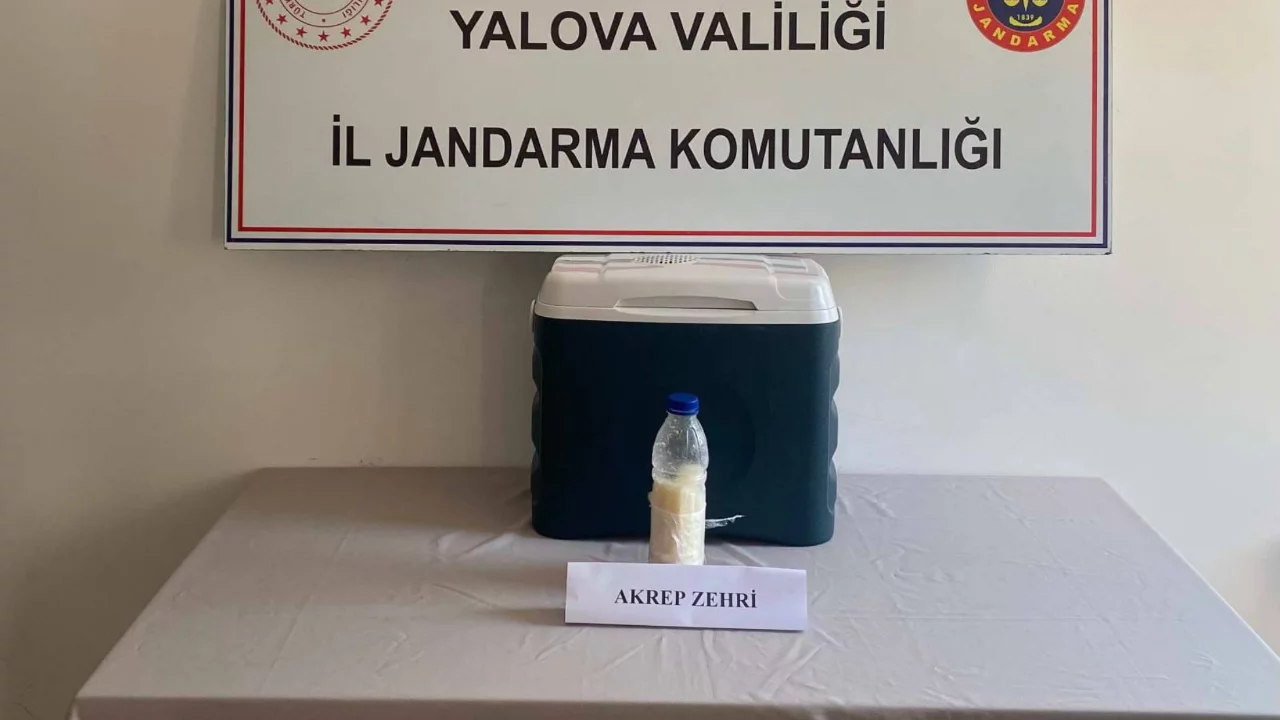 Jandarmadan dev operasyon! 5 milyon dolarlık zehir yakalandı