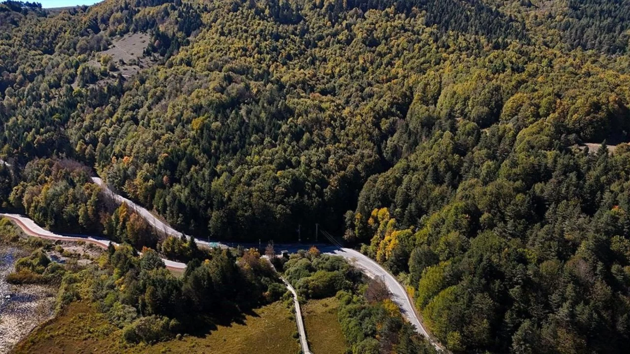 Bolu'da ormanlara giriş 30 Eyl&uuml;l'e kadar yasaklandı