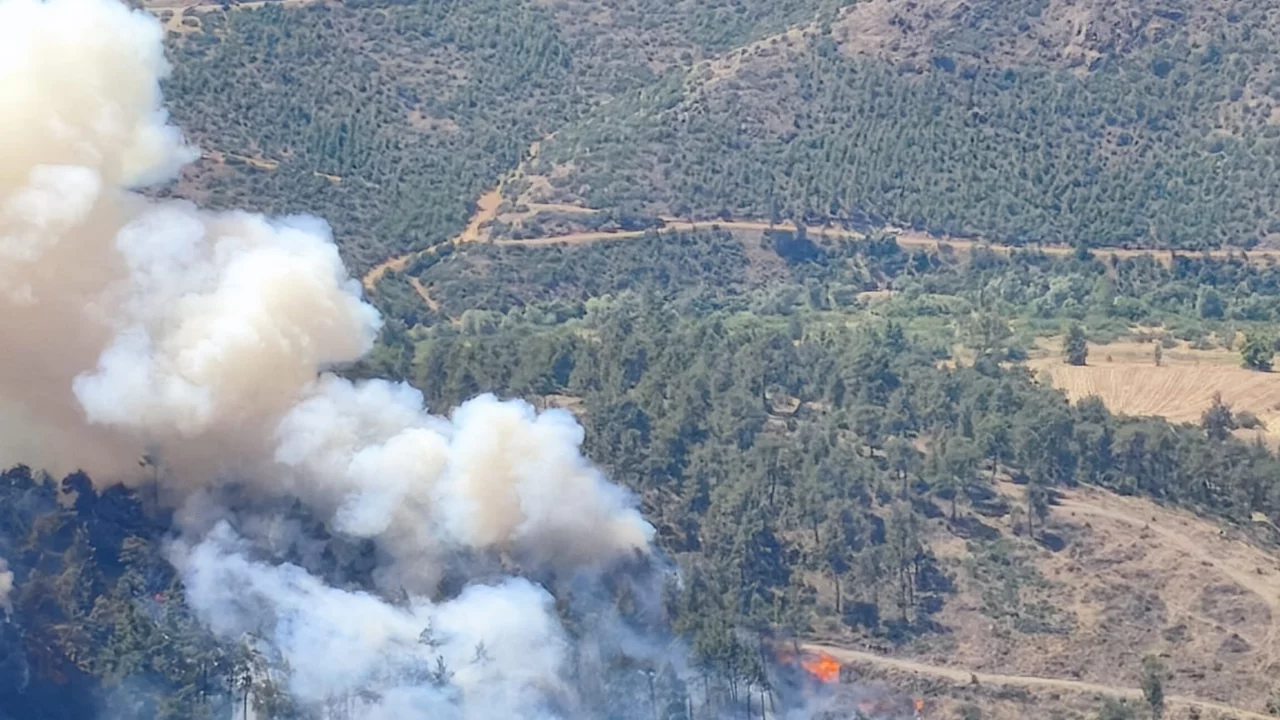 Bursa'da korkutan orman yangını! Havadan ve karadan m&uuml;dahale başladı