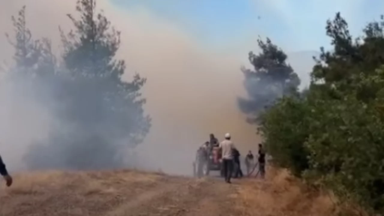 Bursa'da Orman Yangını mı Var? İşte Detaylar