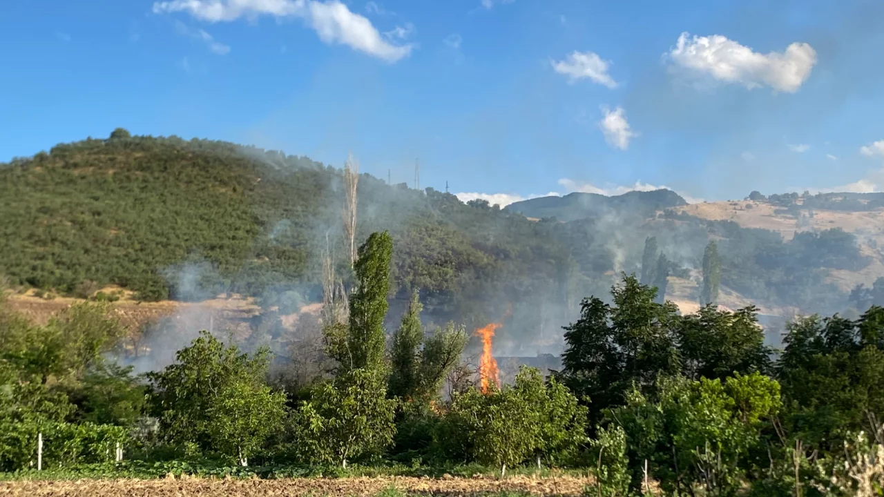 &Ccedil;orum'daki orman yangını kontrol altına alındı