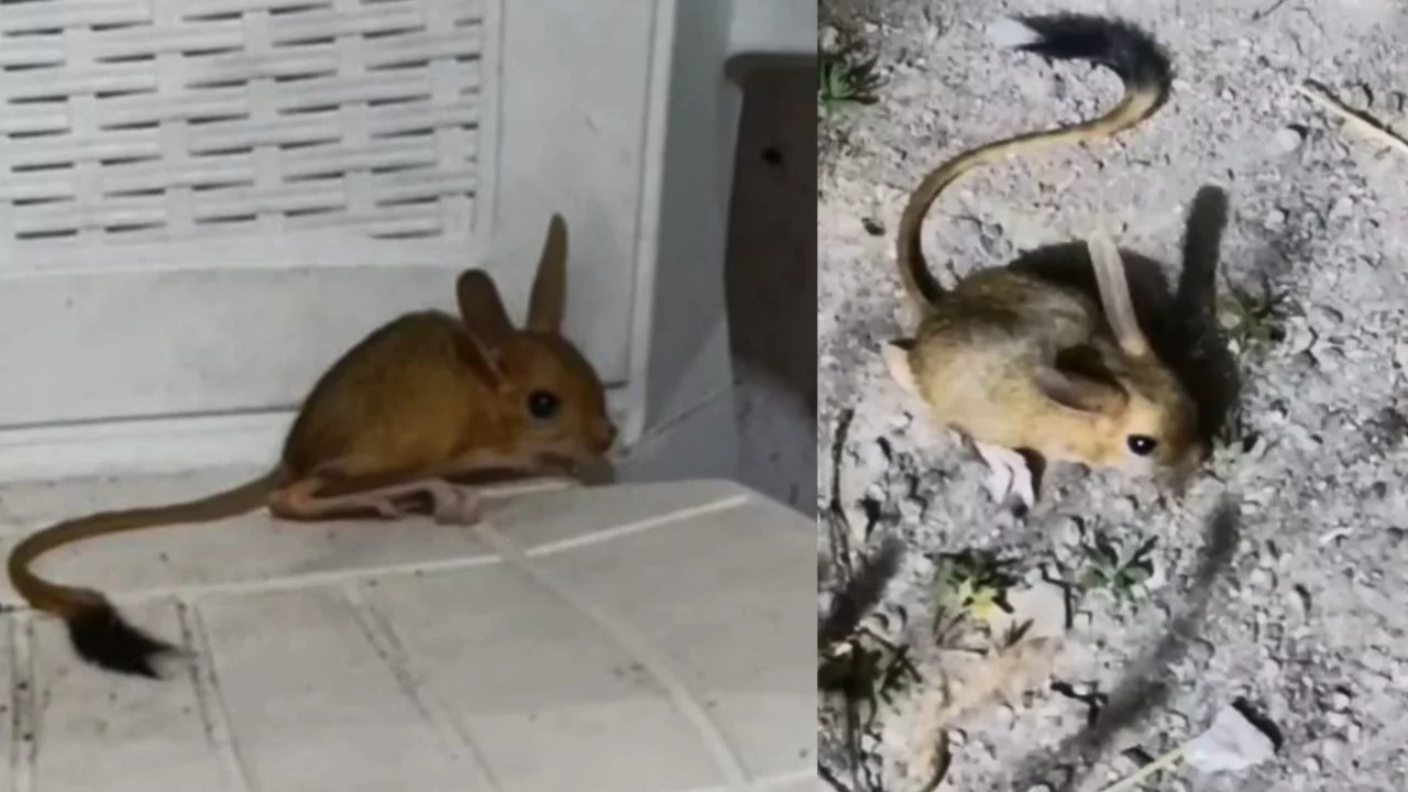 Evine girince g&ouml;zlerine inanamadı