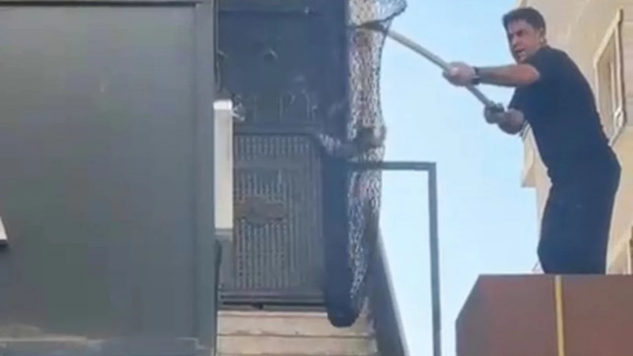 Batman'da metruk binada kilitli kalan 5 yavru kedi kurtarıldı