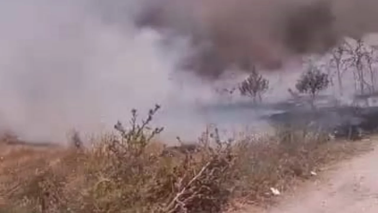 Bursa'da anız yangını! Alevlerin &ouml;n&uuml; son anda kesildi