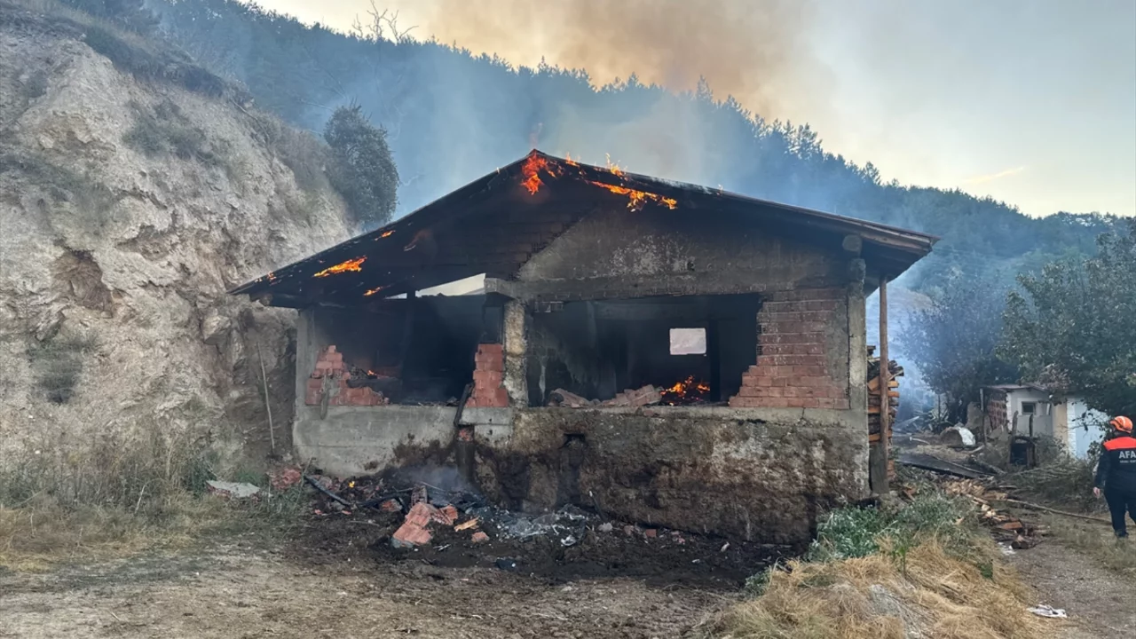 Kastamonu'da ev yangını ormana sıçradı! Ekipler karadan ve havadan seferber oldu