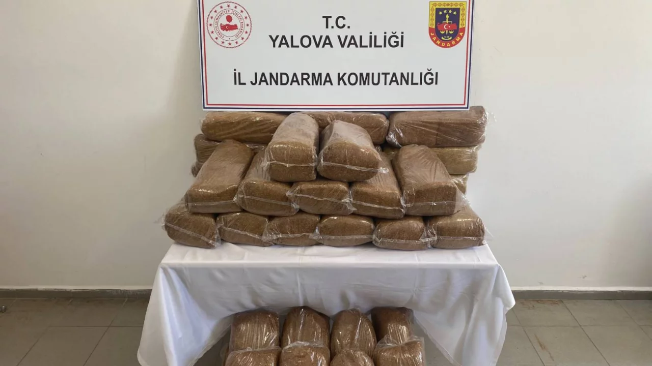 Jandarmadan kaçak tütün operasyonu! 160 kilogram bandrolsüz tütün ele geçirildi 