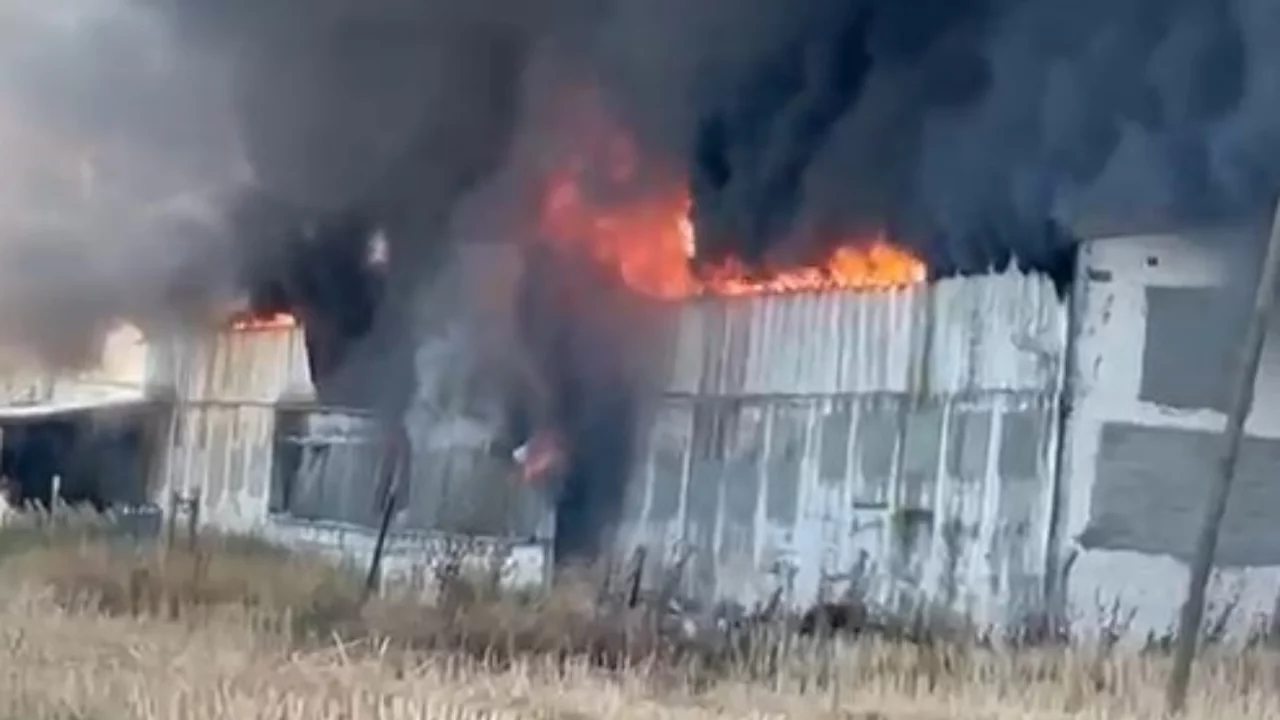 Bandırma'da geri d&ouml;n&uuml;ş&uuml;m deposunda korkutan yangın! Siyah duman g&ouml;ky&uuml;z&uuml;n&uuml; kapladı