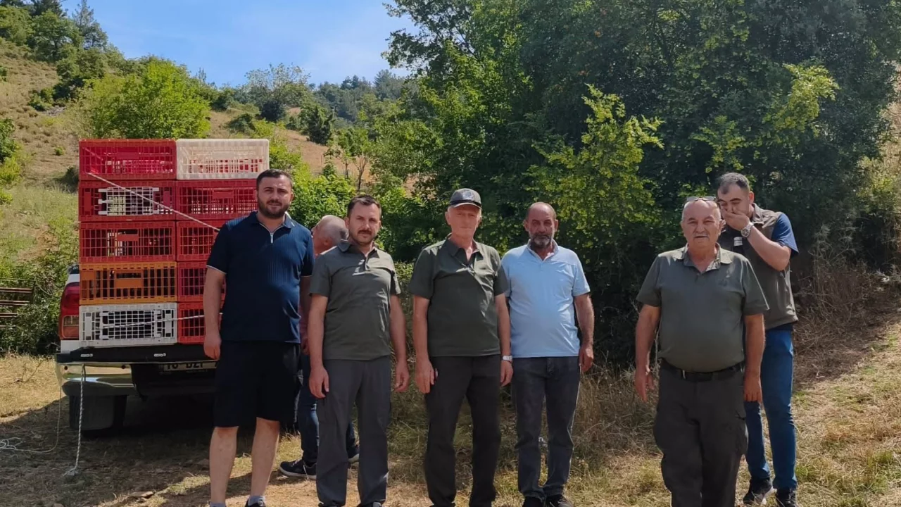 Yenişehir'de Sürdürülebilir Avcılık İçin Doğaya Keklik Salındı!