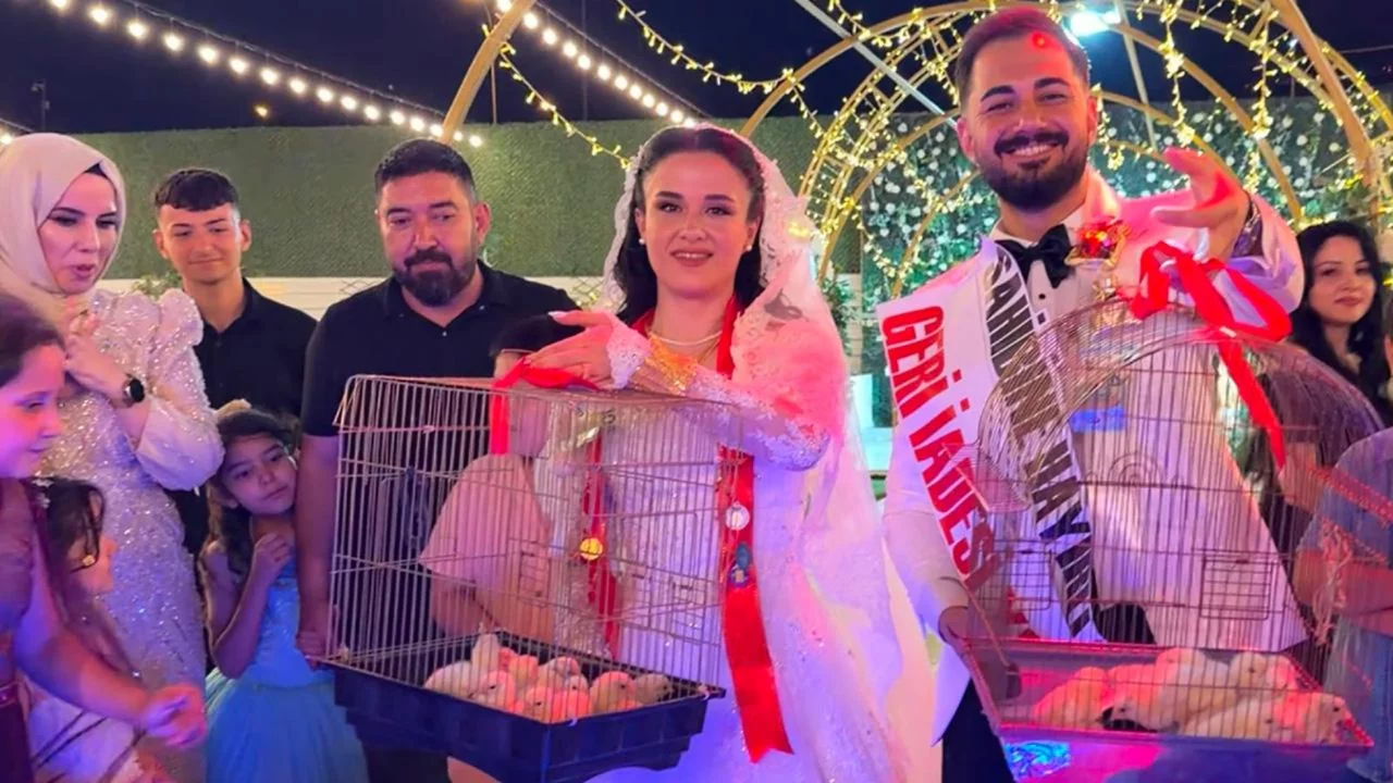 D&uuml;ğ&uuml;nde altın yerine 100 civciv takıldı! g&ouml;renler şaşkınlığını gizleyemedi