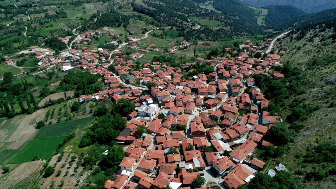 Bursa'nın meşhur lezzeti resmen tescillendi! Yıllardır aranan peynir artık coğrafi işaretli