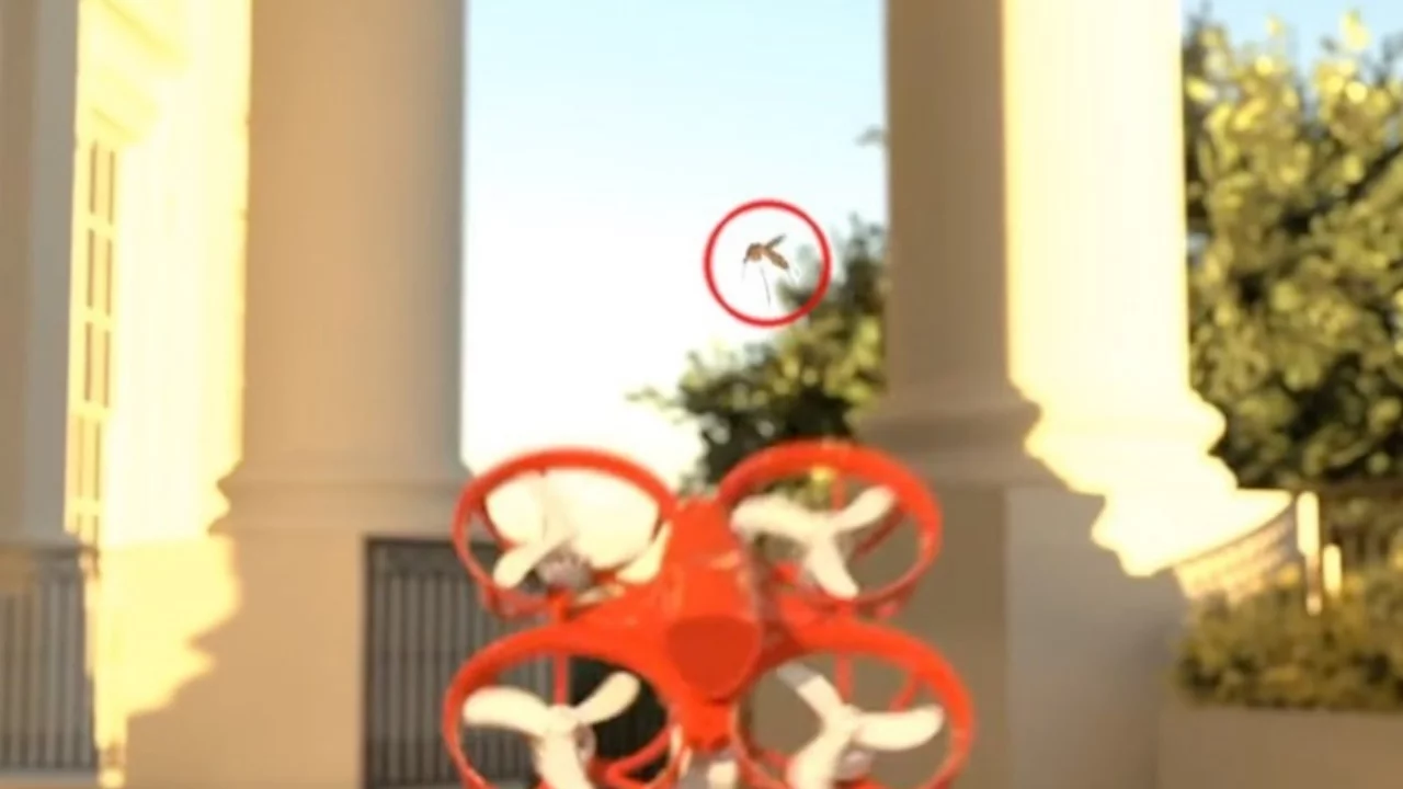 Sivrisineklerin sonu geliyor: Avcı drone tanıtıldı