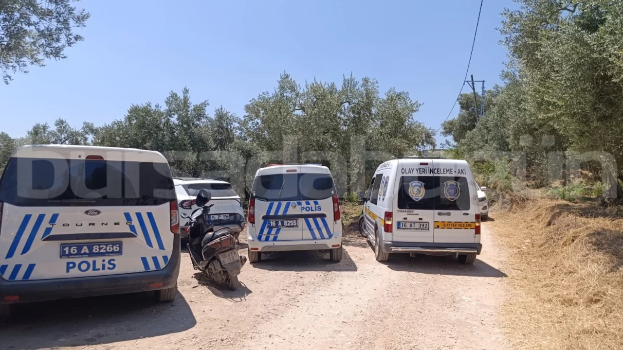 Bursa'da şok ölüm! Zeytin ağaçlarının arasında cansız bedeni bulundu...