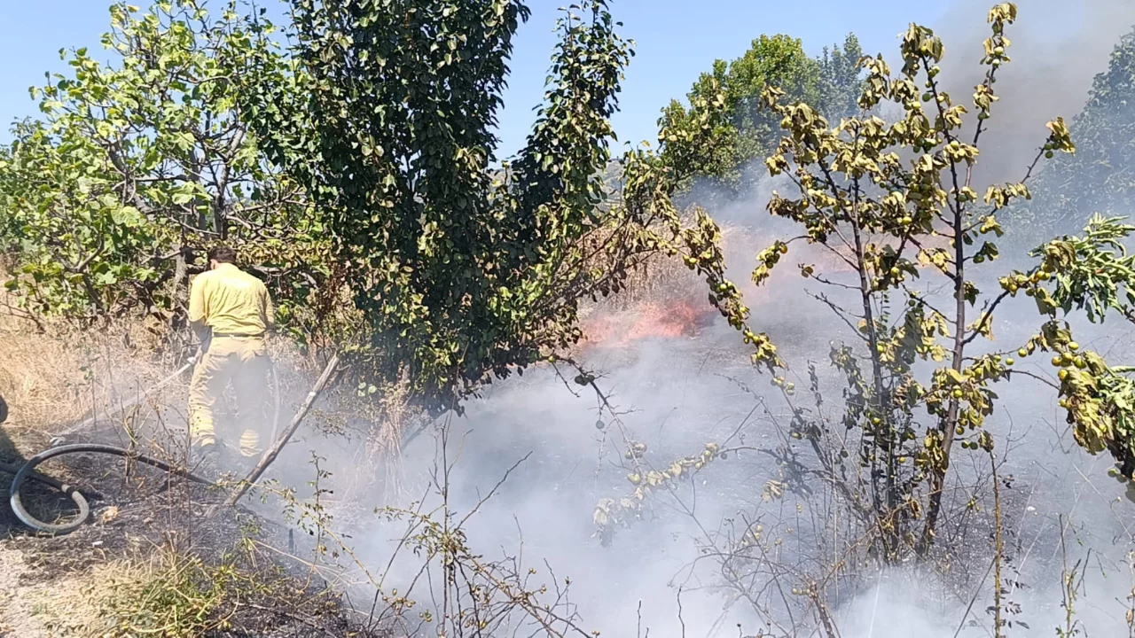 Bursa'da korkutan yangın! Alevler geniş alana yayıldı