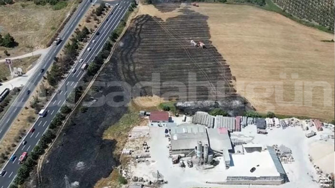 Bursa'da &ccedil;ıkan yangının bilan&ccedil;osu a&ccedil;ıklandı! 25 d&ouml;n&uuml;m arazi k&uuml;le d&ouml;nd&uuml;...