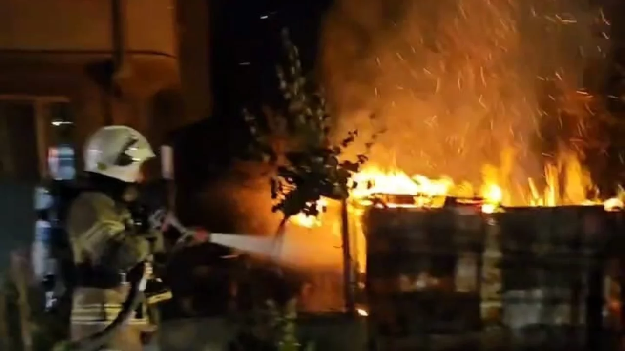 Bursa'da alevler bir anda sardı! Can pazarı yaşandı...Onlarca hayvan telef oldu