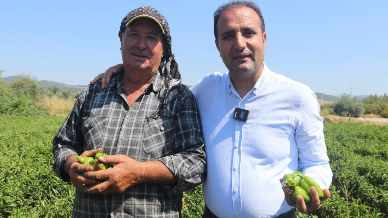 Yiyeni ağzından duman &ccedil;ıkıyor! Urfa'nın isotuna rakip &ccedil;ıktı: Acımızı yarıştıralım