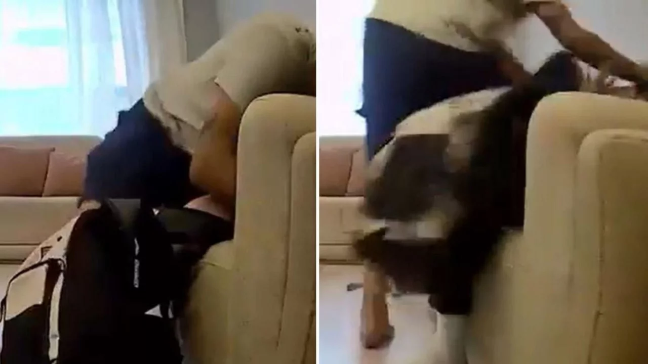 Bu utan&ccedil; verici g&ouml;r&uuml;nt&uuml; maalesef T&uuml;rkiye'nin başkentinden...