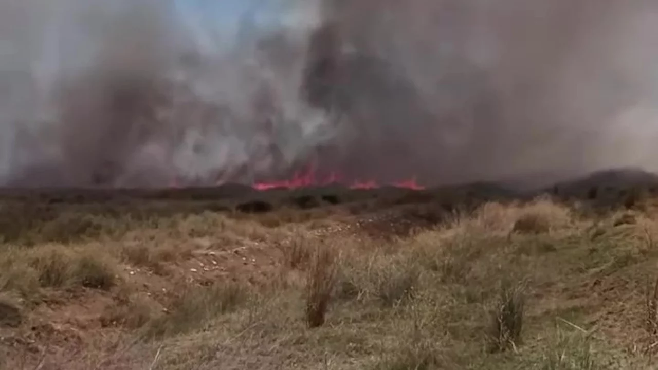 Tarlada &ccedil;ıkan yangın r&uuml;zgarın etkisiyle b&uuml;y&uuml;d&uuml;