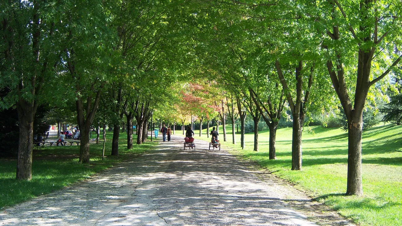 Bursa'da Botanik Park i&ccedil;in yeni adım! Kapasite artırılıyor