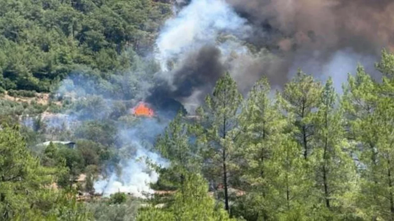 G&ouml;cek yangın son dakika: G&ouml;cek yangın olayı nedir? G&ouml;cek'te yangın mı &ccedil;ıktı, son durum nedir?