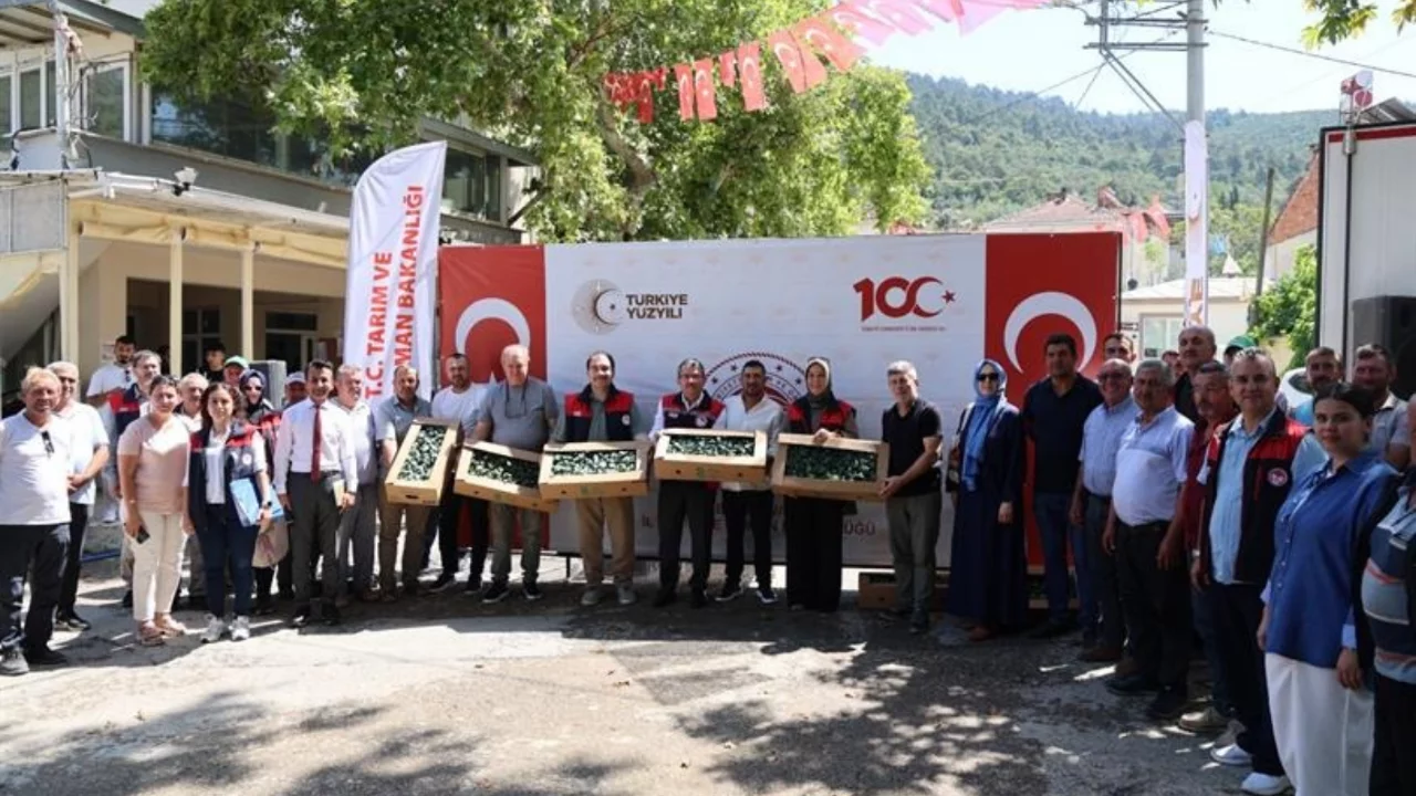 Bursa tarımında ürün çeşitliliği artıyor! Üreticilere 118 bin brokoli fidesi desteği..