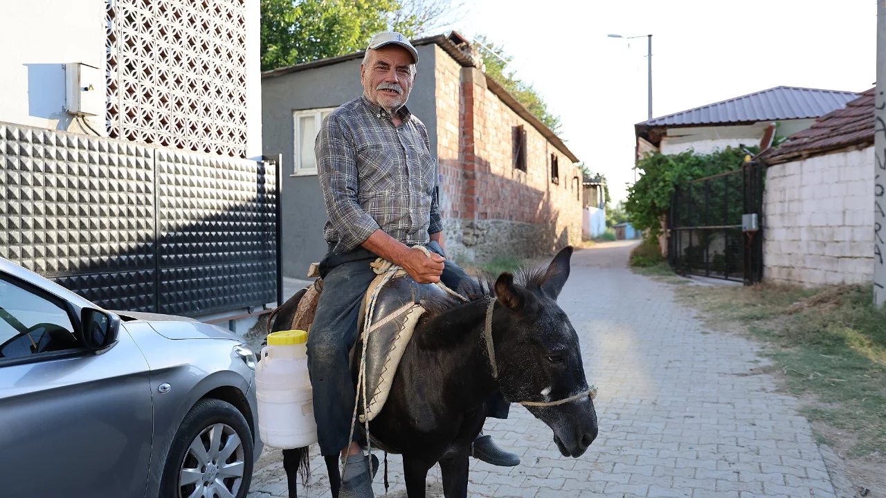 Sürücü belgesi olmadığından eşeği ile servis yapıyor