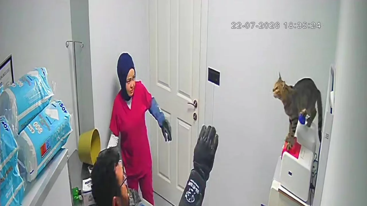 Bursa'da hareketleriyle şaşkına &ccedil;evirdi! "Balıklama atladı, ışığa girdi"