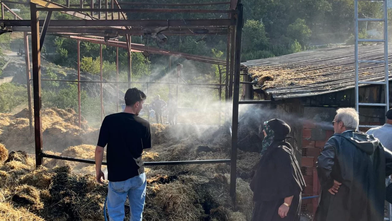 Bursa'da samanlık alevlere teslim oldu! 
