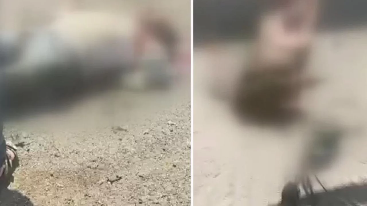 Kamyon s&uuml;r&uuml;c&uuml;s&uuml; &ouml;lmedi ama aldığı hasar kahretti!