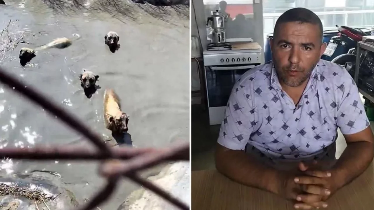 Yaptığı iyilik y&uuml;z&uuml;nden işinden oldu!