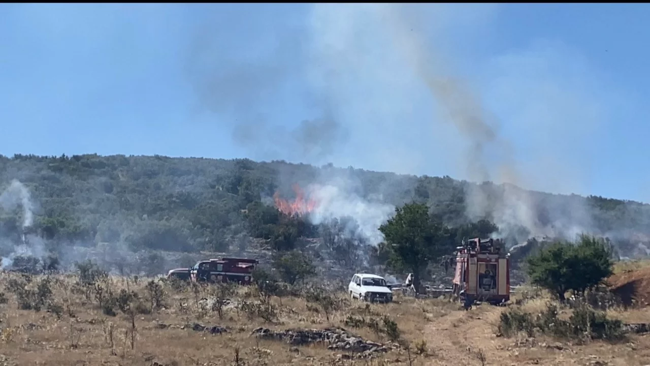 Arıcının tütsüsü orman yangını çıkardı! 