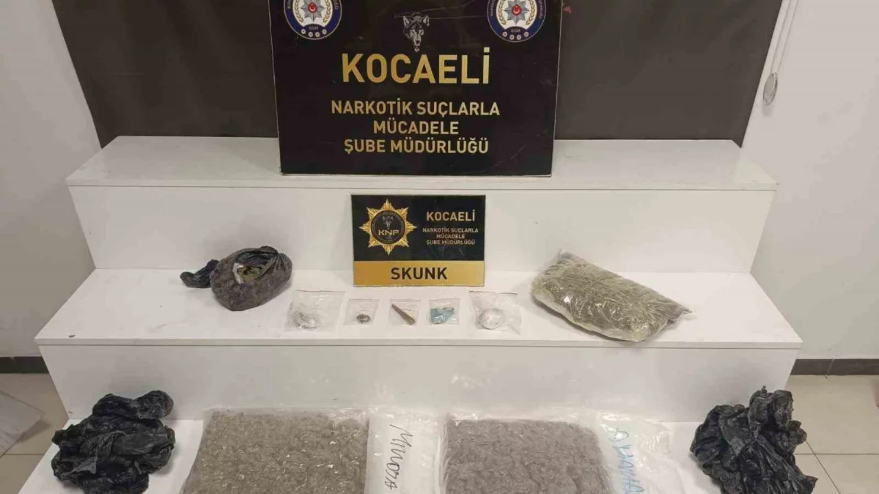 Kilolarca skunk ele geçirildi