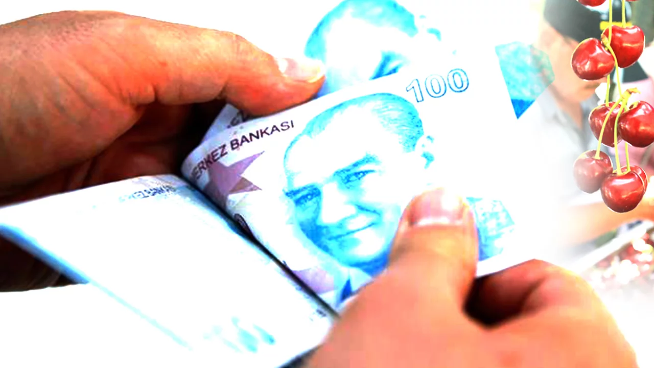 D&uuml;nya bu kirazı istiyor! Bursa'daki firmalar alım noktaları kurdu