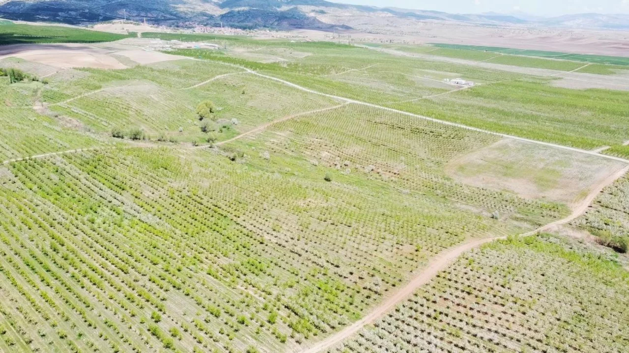 Bir proje k&ouml;y&uuml; tamamen değiştirdi! İşsizlik bitti, g&ouml;&ccedil; durdu