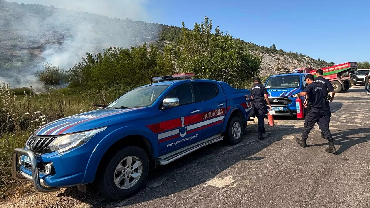 Elektrik direğinden çıkan kıvılcım otluk alanı alevlere teslim etti