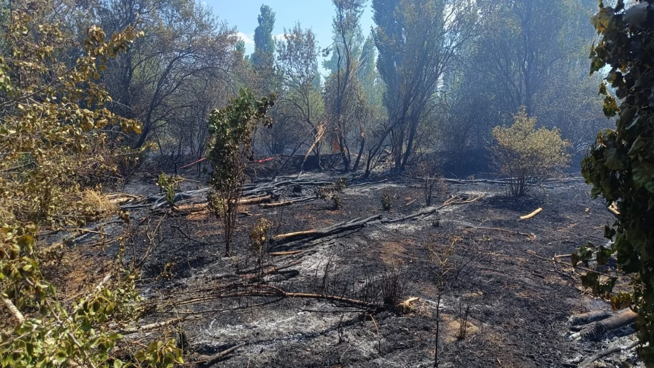 Yerleşim yerine yakın ot yangını korkuttu