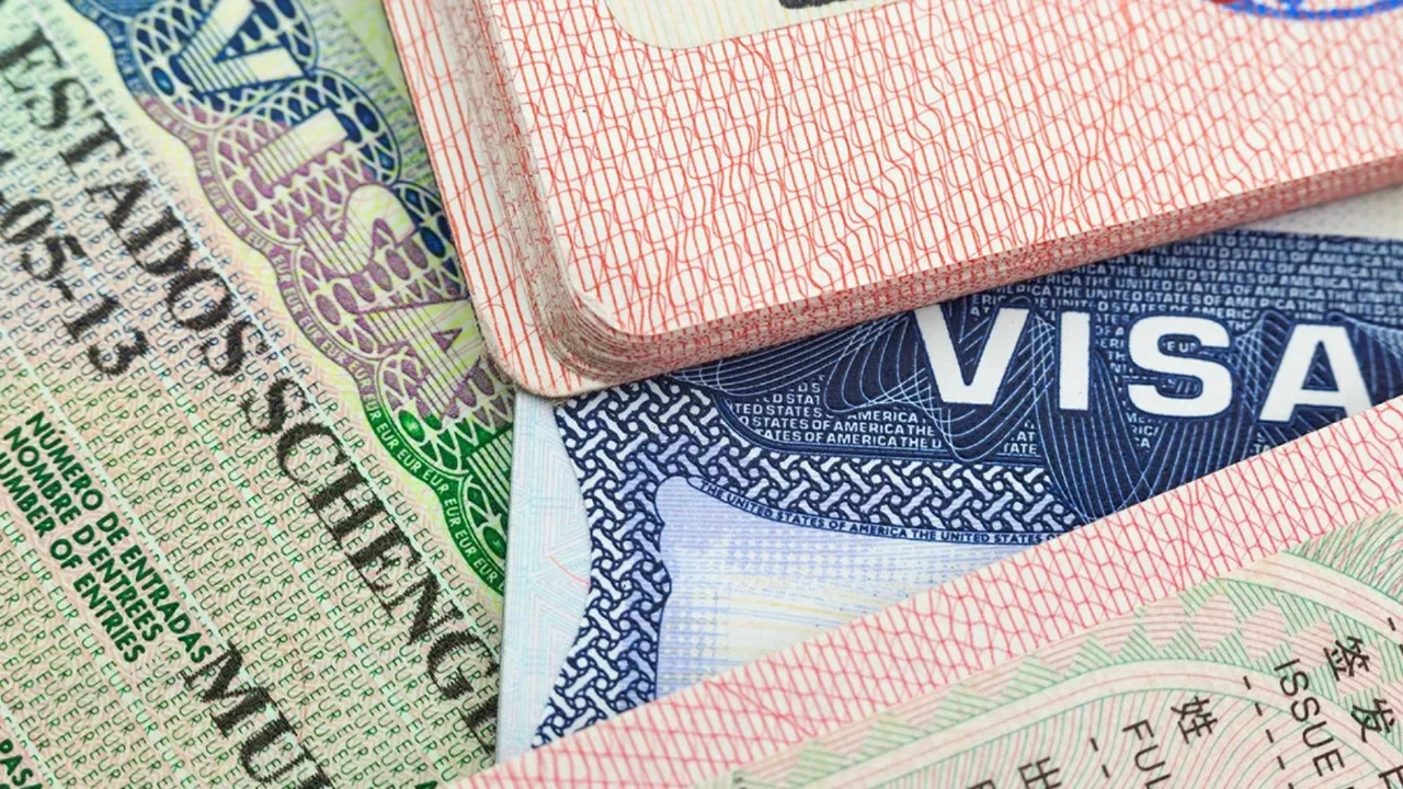 Sahte site ile vize başvurusu yapan vatandaşları dolandırdılar! 10 ildeki operasyonla &ccedil;ete &ccedil;&ouml;kertildi