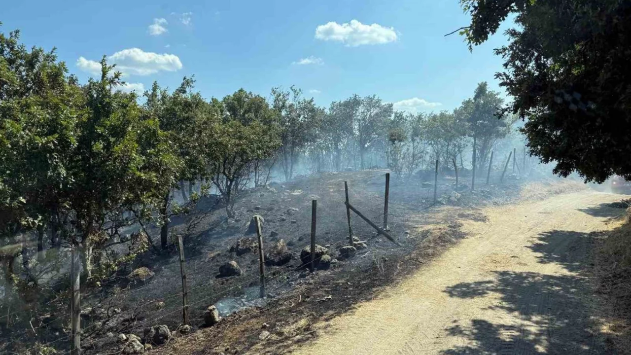 Yenice'de tarım arazisinde yangın kontrol altına alındı