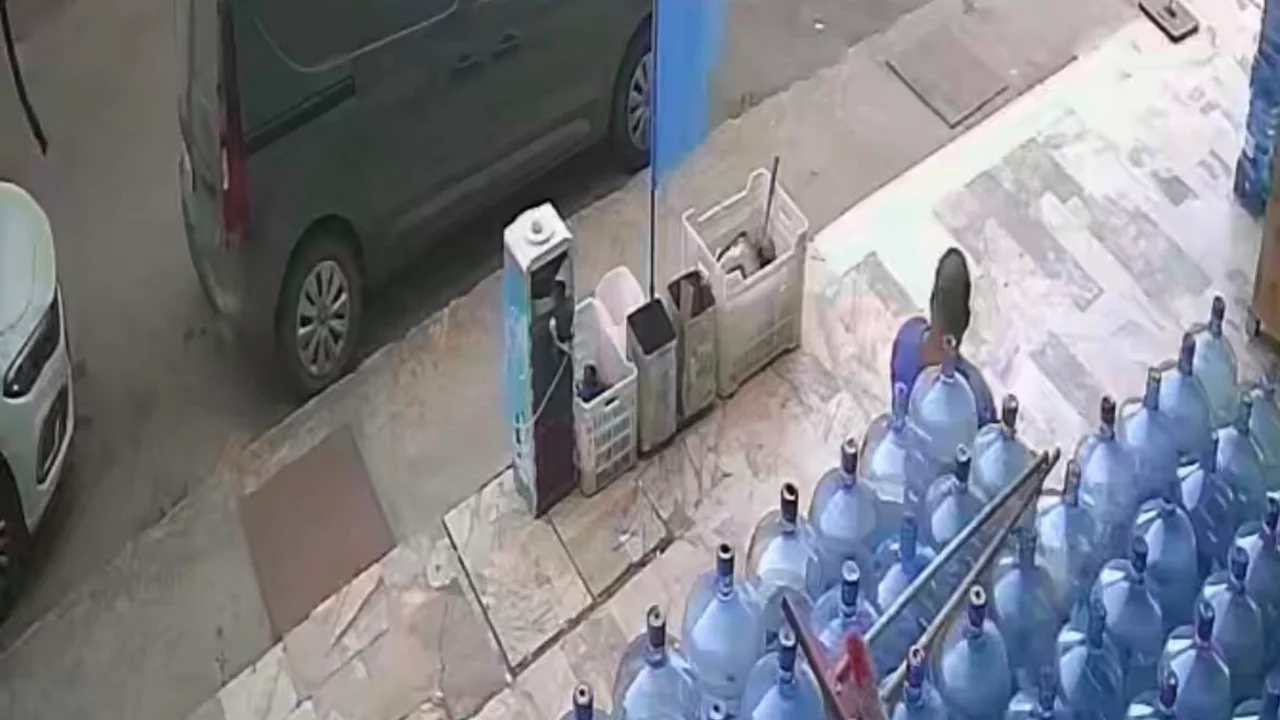 Alanya'da kediyi yere fırlatan &ccedil;ocuk kamerada! G&ouml;r&uuml;nt&uuml;ler tepki topladı