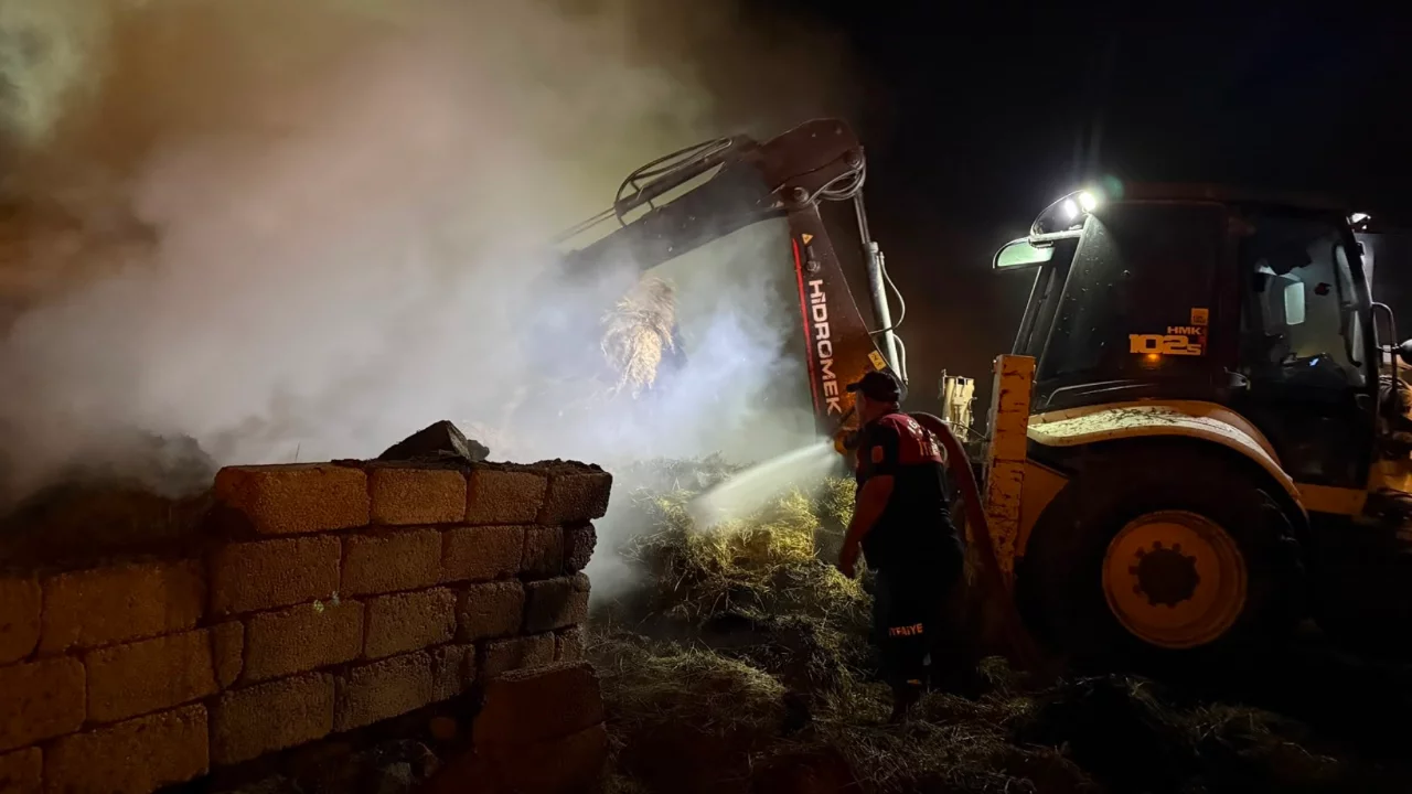 Iğdır'da 2 bin balya alevlere teslim oldu