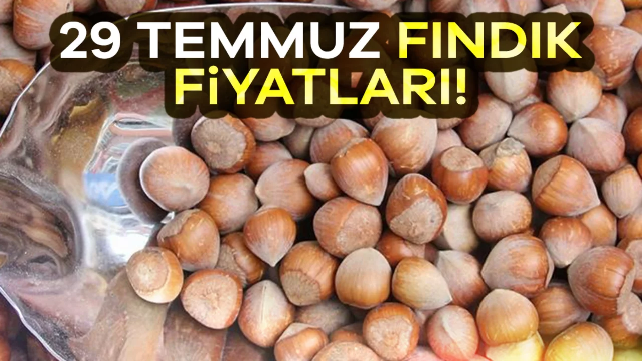 (29 Temmuz 2026) İl il fındık fiyatları! Fındık fiyatları ne kadar?