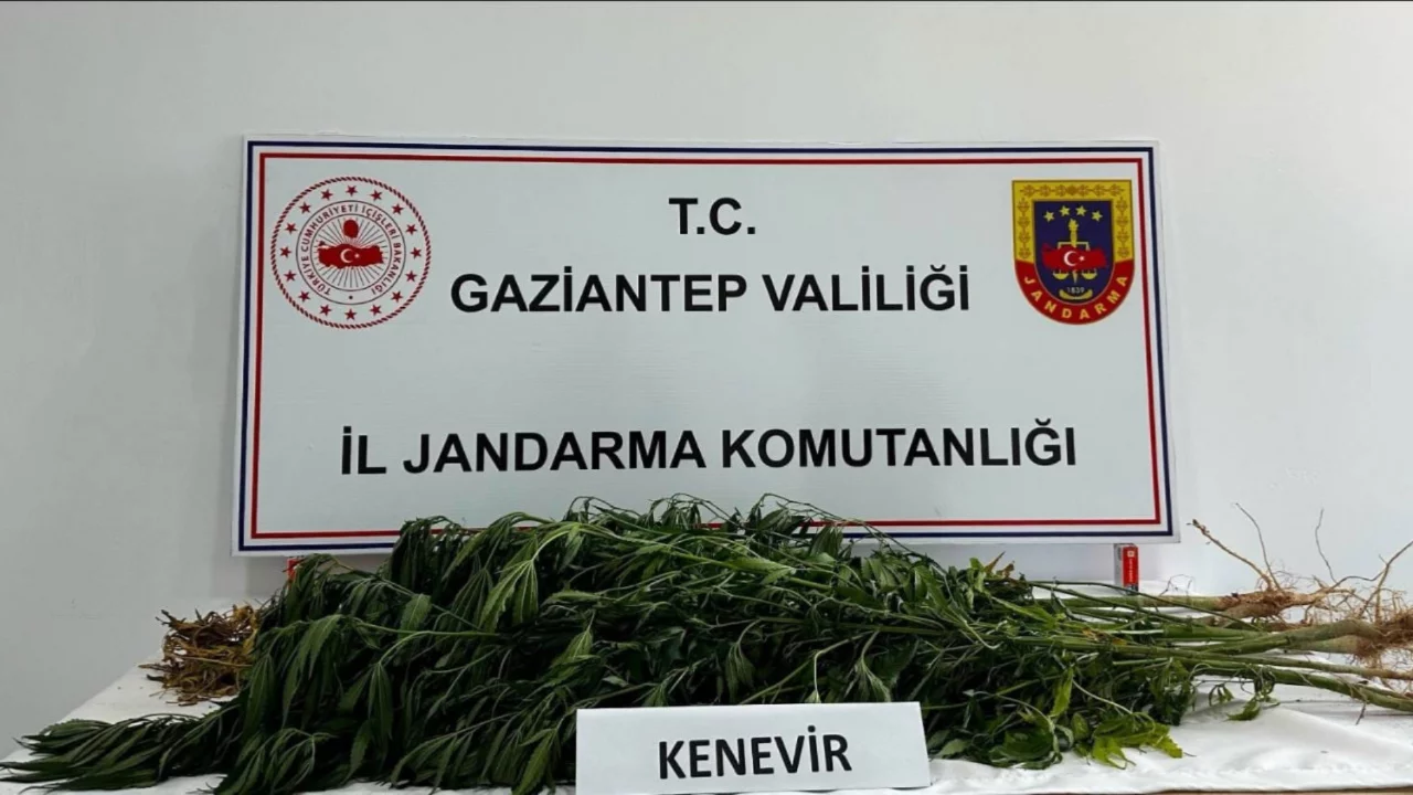 Gaziantep'te zehir tacirlerine operasyon 