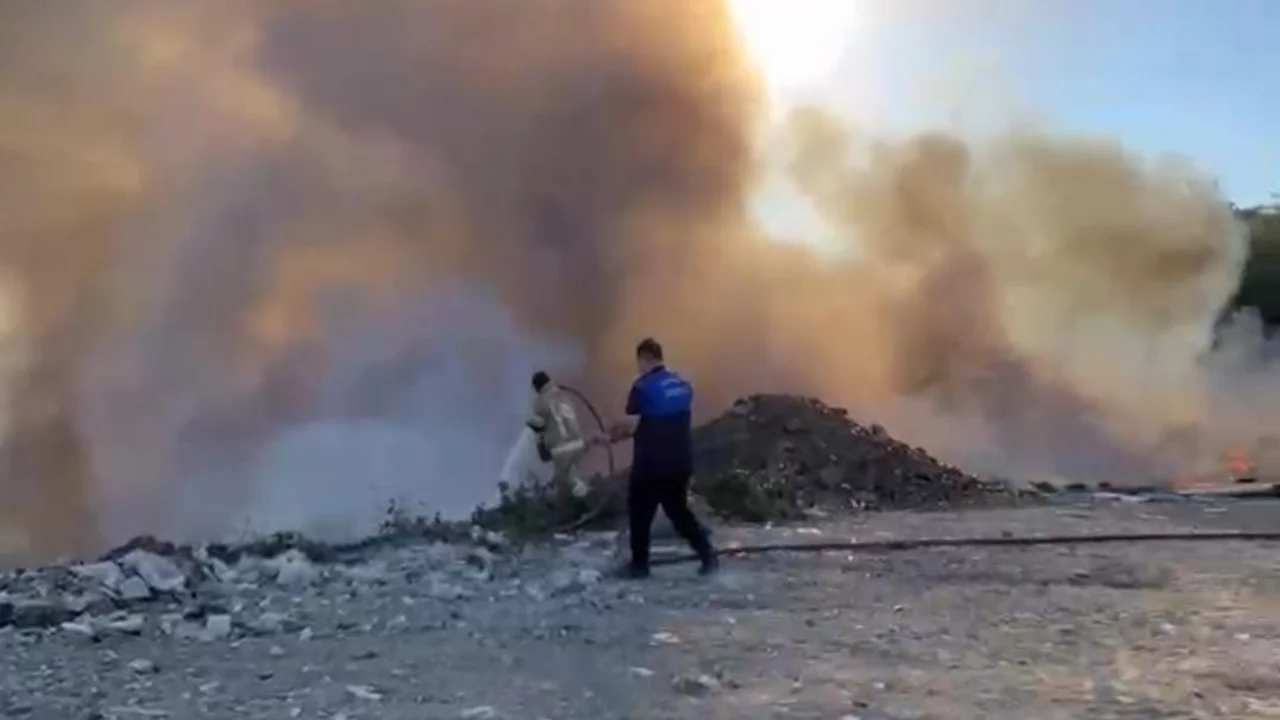 Bursa'da bir yangın daha! Ormanlık alana sı&ccedil;ramadan s&ouml;nd&uuml;r&uuml;ld&uuml;...