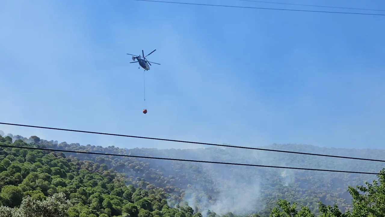 Bursa'daki orman yangınından saatler sonra g&uuml;zel haber! Kontrol altına alındı...
