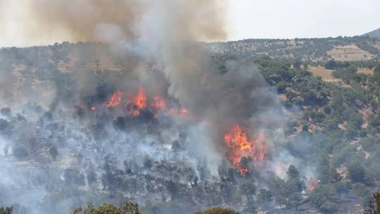 &Ccedil;anakkale'de kritik yangın alarmı! 4 g&uuml;n boyunca a&ccedil;ık alanlarda ateş yakmak yasak