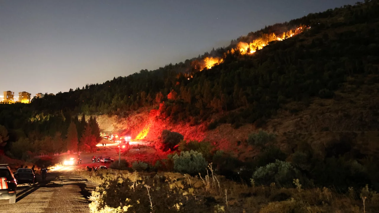İzmir Bornova'da orman yangını alarmı! R&uuml;zgar m&uuml;dahaleyi zorlaştırıyor
