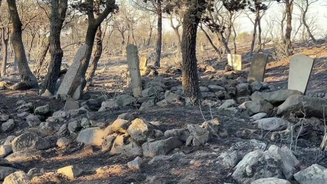 Balıkesir'de kahreden görüntü! Yangın mezarlığı kül etti 