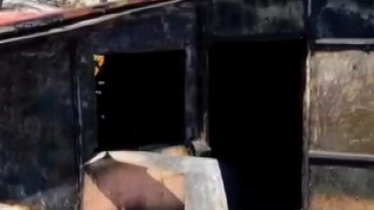 Tavuk çiftliğinde yangın! Bin 650 tavuk telef oldu