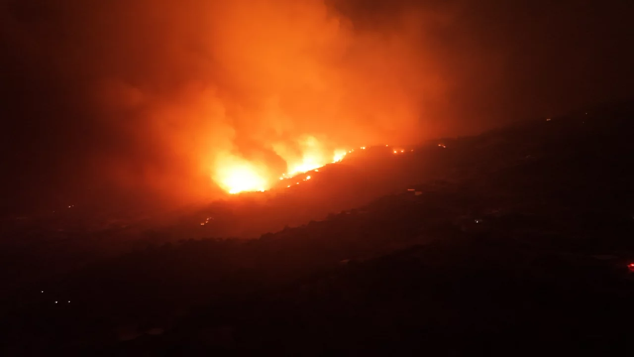 Aydın'daki orman yangınında kritik gece! Alevler mahallelere kadar ulaştı
