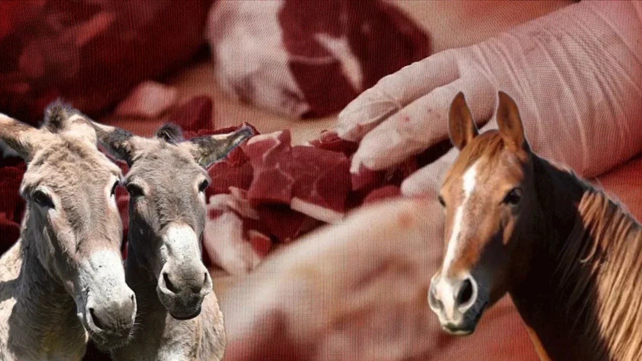 Firma isimleri de belli! İki ilimizde vatandaşa at ve eşek eti yedirdiler
